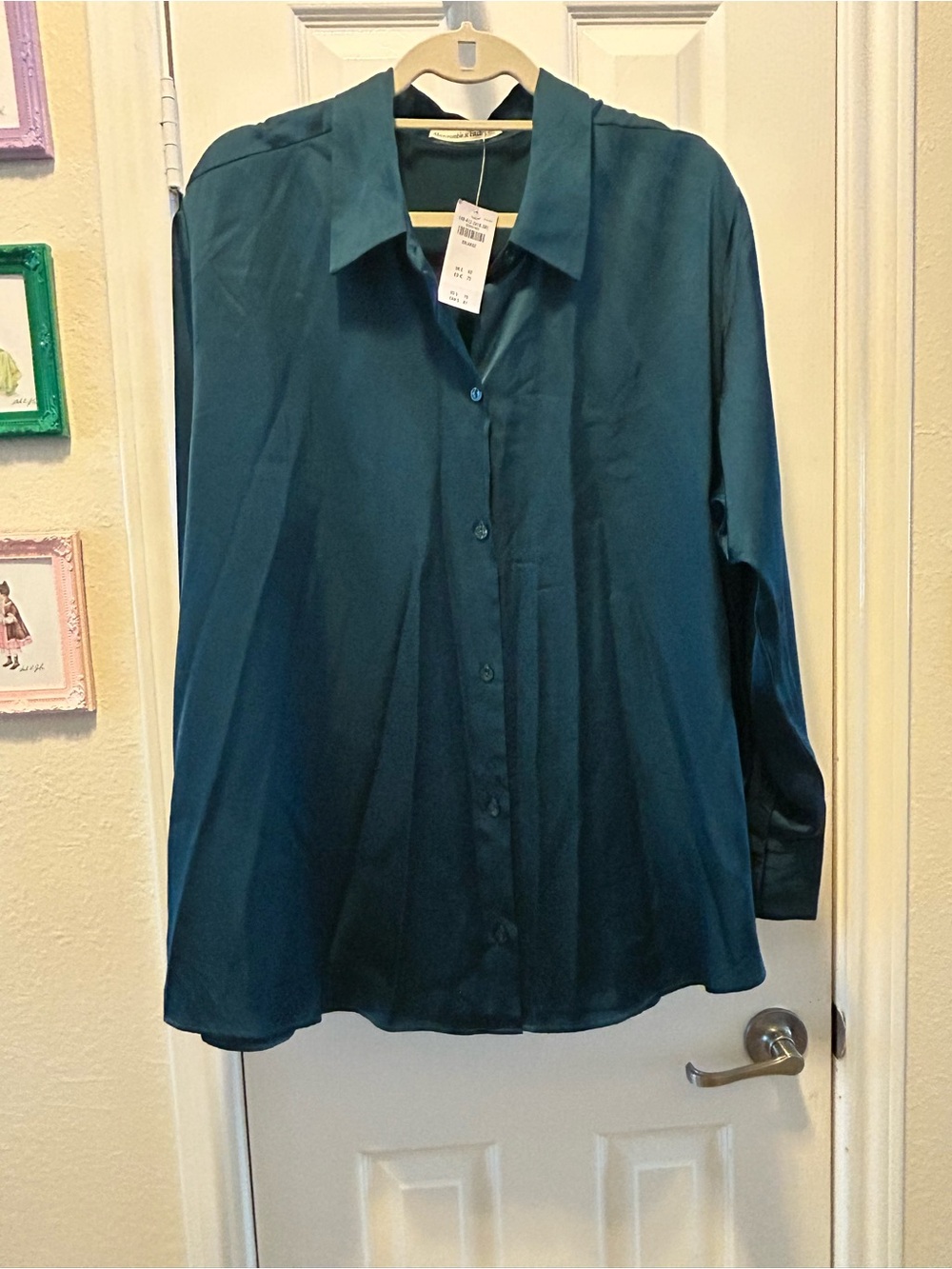 Abercrombie & Fitch Teal Long-Sleeve Button-Up Blouse NWT